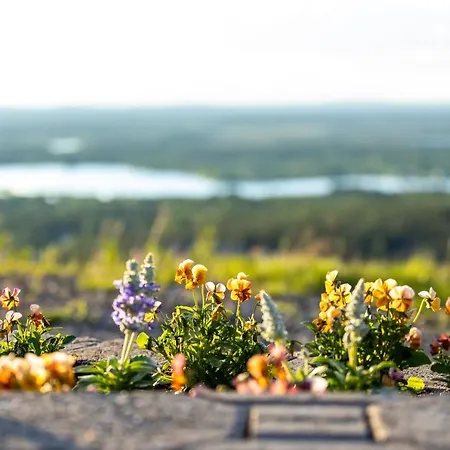 Apartament In Lapland - Postintie 3b 322 Levi