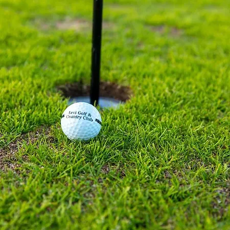 In Lapland - Postintie 3b 322 לוי