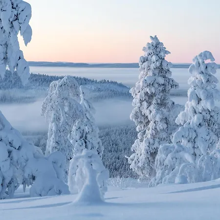 Postintie 3b 322 By In Lapland Levi