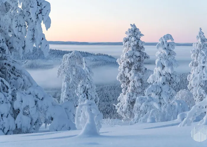 In Lapland - Postintie 3b 322 列维